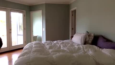 janicepepper online show from January 2025 09:52:01 PM