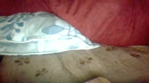 Snapshot of janneparker chatting on November 2025 02:39:01 PM Janne online show from November 2025 02:39:01 PM