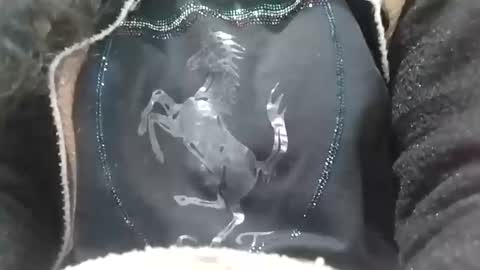 Snapshot of jasspreettt chatting on February 2025 06:58:02 AM jasspreettt online show from February 2025 06:58:02 AM