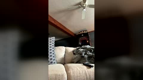 Snapshot of jawssharkparty chatting on January 2026 07:50:02 PM Jaws online show from January 2026 07:50:02 PM