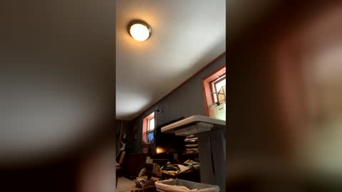 Jaws  online show from January 2026 04:54:02 PM