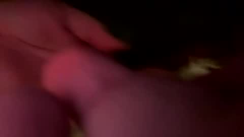 Jaws  online show from February 2026 07:09:02 AM