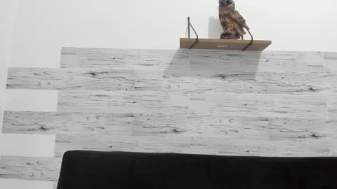 Jaycreedd online show from February 2025 02:57:02 AM