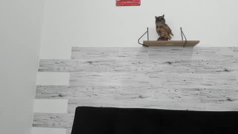 Jaycreedd online show from September 2025 04:56:02 PM