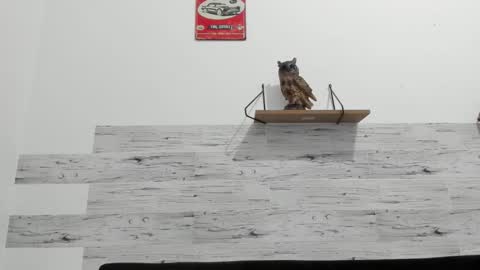 Jaycreedd online show from October 2025 01:48:02 AM