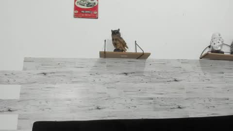 Jaycreedd online show from March 2026 05:13:02 AM