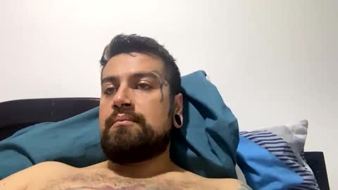 jdsj1a873165 online show from March 2026 11:36:01 AM