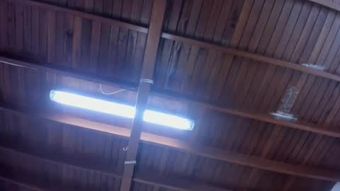 jeicob gagnon online show from January 2025 04:24:01 PM