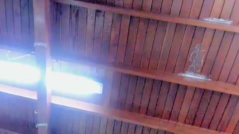 jeicob gagnon online show from February 2025 04:00:02 PM