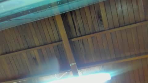 jeicob gagnon online show from September 2025 02:00:02 AM