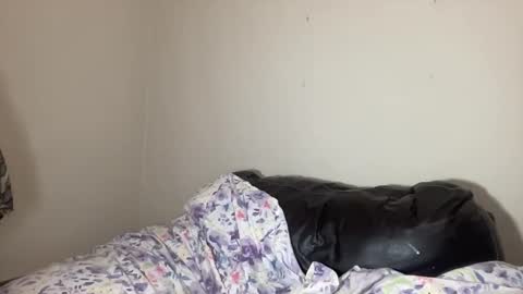 Snapshot of jenni_cash chatting on January 2026 08:06:01 AM Mistress Jenni online show from January 2026 08:06:01 AM