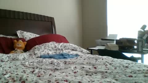 Snapshot of jennibean6996 chatting on September 2025 01:49:01 PM Jennibean6996 online show from September 2025 01:49:01 PM