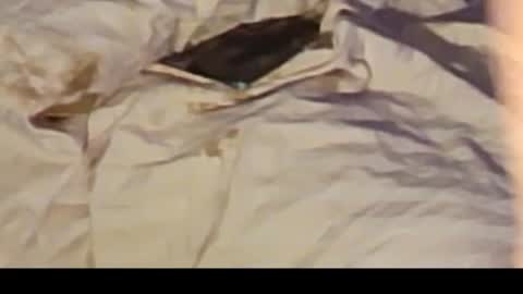 Jennie bttmcd online show from February 2025 12:36:01 PM