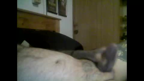 jerkmate6666 online show from September 2025 11:50:02 PM