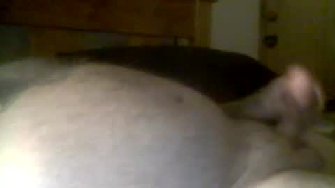 jerkmate6666 online show from April 2026 11:49:01 AM