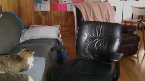 jettadude5 online show from January 2025 06:02:01 PM