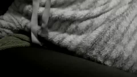 Snapshot of jimmiguel12345678 chatting on December 2024 02:14:02 AM jimmiguel12345678 online show from December 2024 02:14:02 AM