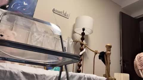 Snapshot of jingyan666 chatting on February 2026 02:45:01 PM meng meng online show from February 2026 02:45:01 PM