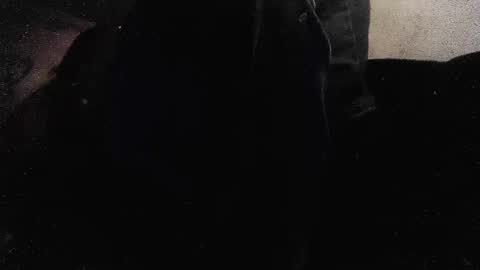 Snapshot of jjohnathan529 chatting on January 2025 03:58:01 PM jjohnathan529 online show from January 2025 03:58:01 PM