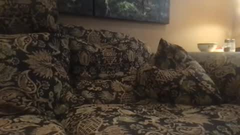 jlk7777 online show from December 2024 07:01:01 PM