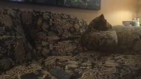 jlk7777 online show from February 2025 05:04:01 PM