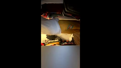 Snapshot of jlovindemsm chatting on March 2026 03:52:02 AM Jimmy online show from March 2026 03:52:02 AM