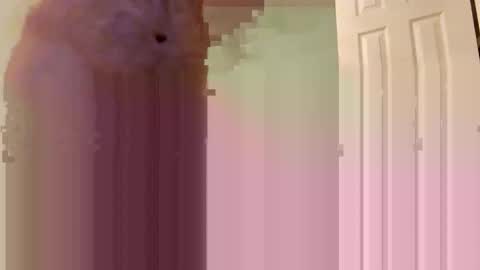 Jmtz4420 online show from January 2025 09:00:02 AM