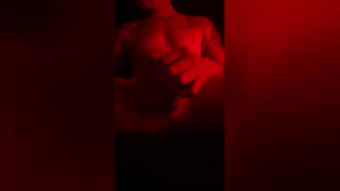 joaodopicao online show from February 2026 11:54:01 PM