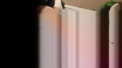 Snapshot of jocmyv9wokry chatting on February 2026 11:54:01 AM jocmyv9wokry online show from February 2026 11:54:01 AM