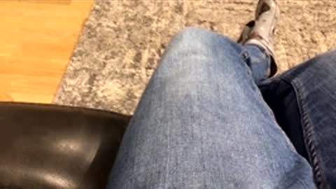 joe460538 online show from January 2026 03:12:02 AM