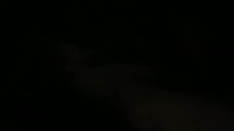 Snapshot of joe_3332 chatting on May 2026 07:48:02 AM joe_3332 online show from May 2026 07:48:02 AM