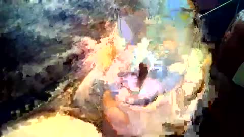 Snapshot of joedunbar61 chatting on September 2025 12:12:01 AM joedunbar61 online show from September 2025 12:12:01 AM