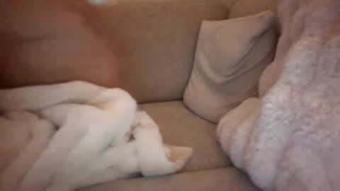 joeybanan online show from December 2025 08:09:02 AM