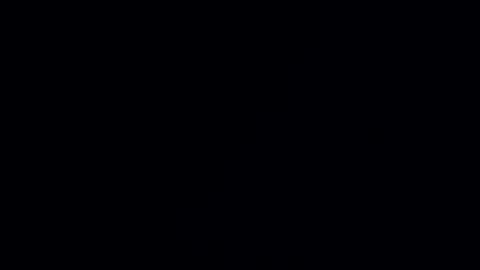 hungcanadian online show from November 2025 09:42:01 AM