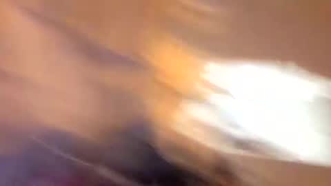 Snapshot of john0131739980 chatting on September 2025 06:37:01 AM john0131739980 online show from September 2025 06:37:01 AM