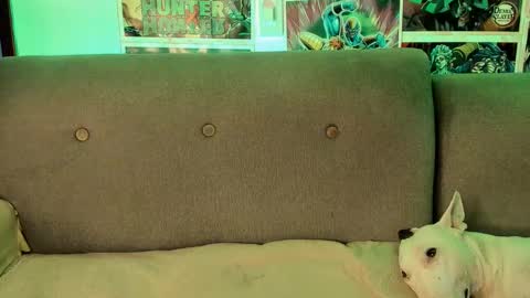 John carrie    Independent  Help me reach my goal 100 likes and 10000 followers  online show from September 2025 04:18:02 AM