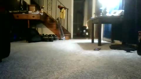 Snapshot of johnynasty8 chatting on June 2026 04:27:01 AM Johnynasty87 online show from June 2026 04:27:01 AM