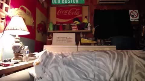 Snapshot of johstondude chatting on May 2026 01:44:02 AM Johston online show from May 2026 01:44:02 AM