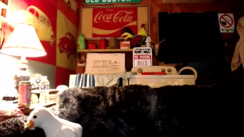 Snapshot of johstondude chatting on July 2026 01:34:01 AM Johston online show from July 2026 01:34:01 AM