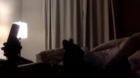 jokerwayne32 online show from April 2026 03:50:02 AM