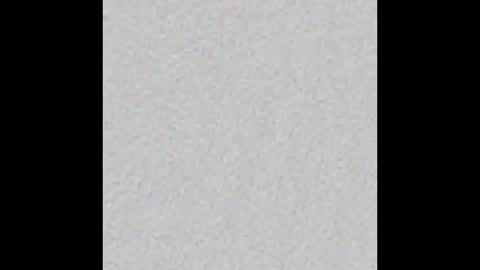 Jolene online show from March 2025 09:55:01 AM