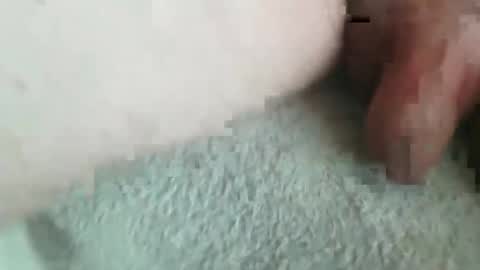 Snapshot of jonasbkk chatting on January 2026 07:12:01 AM jonasbkk online show from January 2026 07:12:01 AM