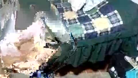 Snapshot of jose496031 chatting on November 2025 02:56:02 AM jose online show from November 2025 02:56:02 AM