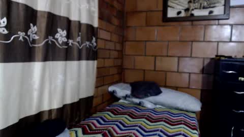 Snapshot of joseph_fit chatting on October 2025 03:07:02 AM joseph online show from October 2025 03:07:02 AM