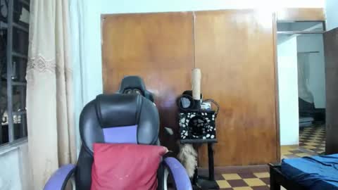 MR OAK online show from October 2025 12:36:01 AM