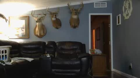 Josh online show from March 2026 02:28:02 AM