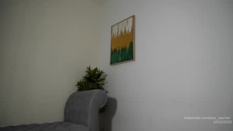 Joss  online show from February 2025 03:16:01 PM