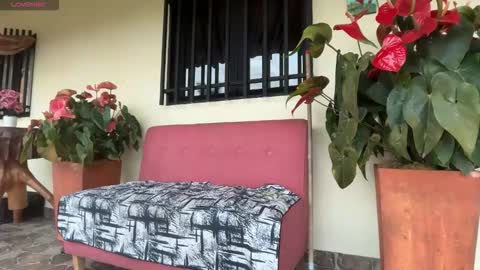 Im Jouliano online show from February 2026 10:57:02 PM