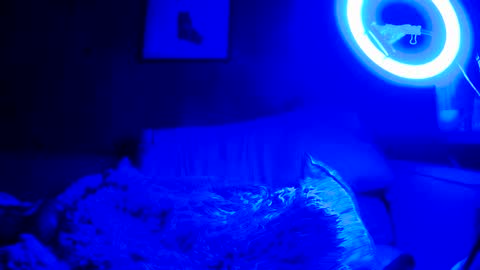 Snapshot of jroge21 chatting on March 2025 03:22:01 AM jroge21 online show from March 2025 03:22:01 AM