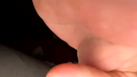 jst33456 online show from November 2025 12:53:02 PM